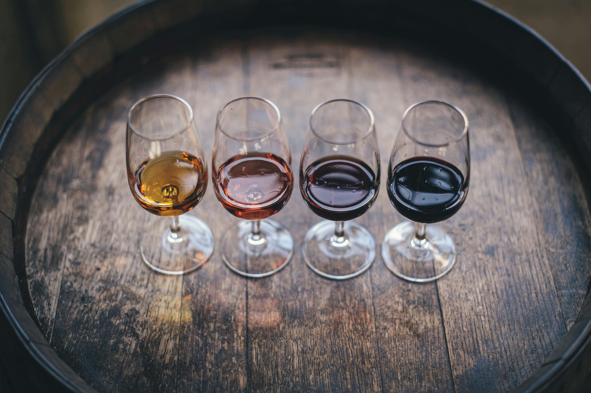 Wine tasting experience